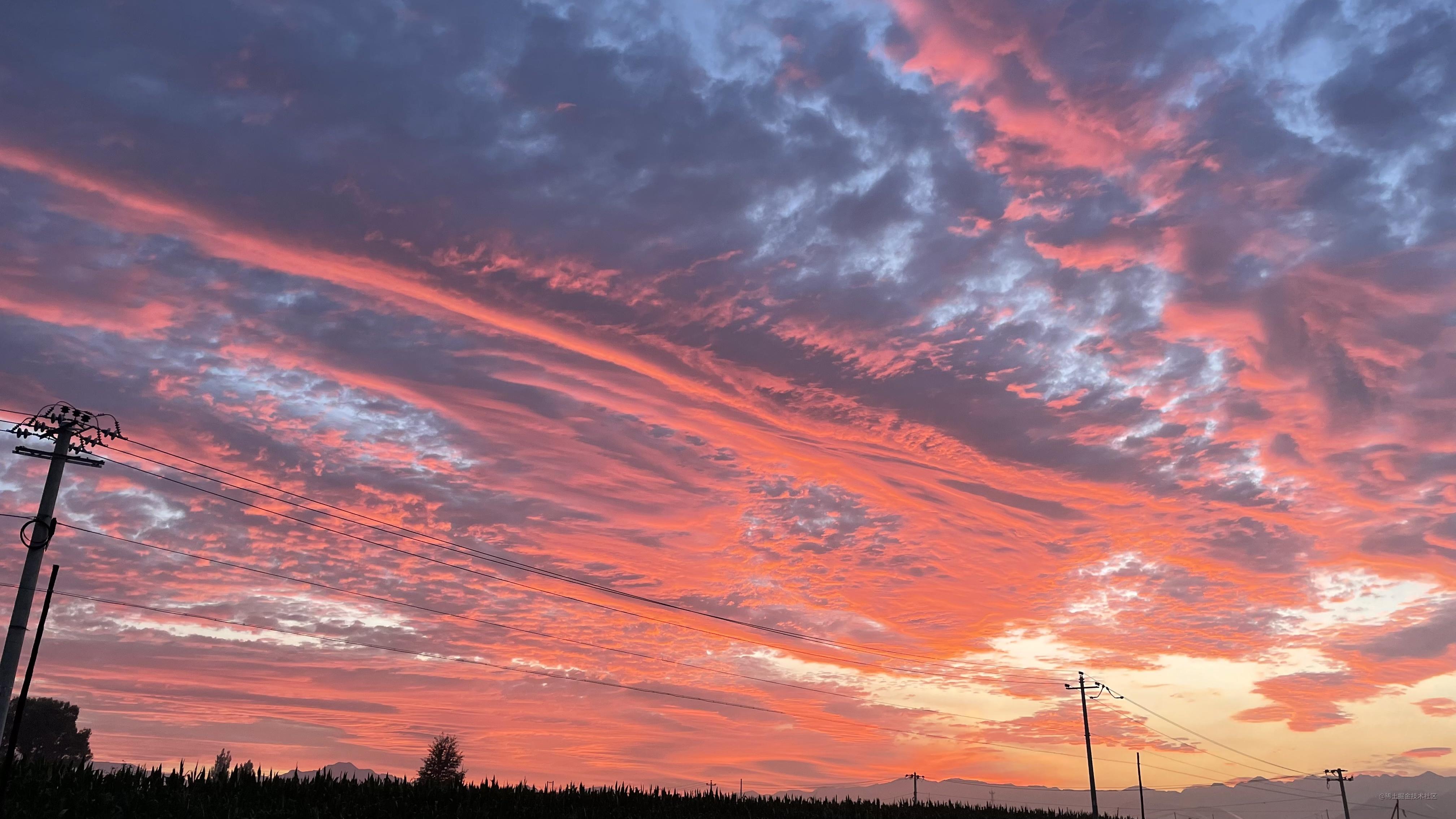 large picture of the cover